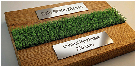 Herzrasen-250pra-Sent-Gruen-Web